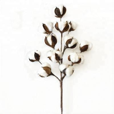 China 2019 New Design Cotton Flower 12 Head White Natural Cotton Boll Stem for sale