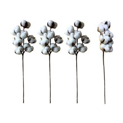 China Flower Amazon Hot Sale 7 Balls Per Stem Farmhouse Style Display Vase Filler Decoration Rustic Cotton Flowers for sale