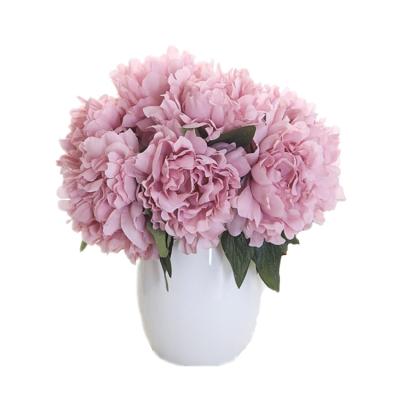 China 5 Heads Artificial Silk Flower Aileen Peony Flower for Wedding Hand Flowers and Home Decoration for sale