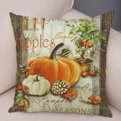 China PORTABLE Colorful Pumpkin Watercolor Pumpkin Case Plush 45*45cm Decor Plant Cactus Super Soft Short Cushion Cover For Car Sofa Pillowcase for sale