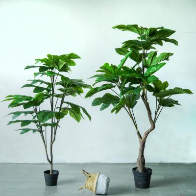 China Plants Materials Plants Materials Trees Landscape House Use Bonsai Trees Eco-friendly China Eco-friendly China Topiary Indoor No Need To Care for sale