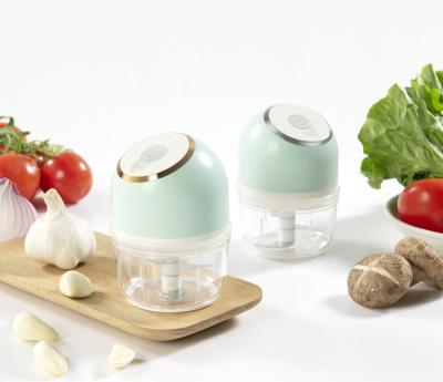 China Viable Product Hot Sale Food Processor Electric Garlic Chopper Vegetable Meat Mini Wet Grinder for sale