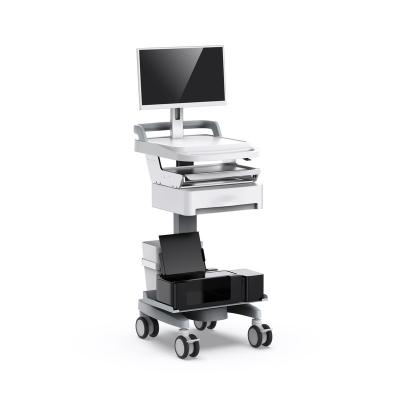 China 2022 Computer Null Online Beauty Medical Shopping Cart for sale