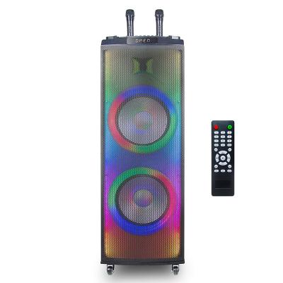 China 12 inch colorful dual woofer outdoor clearance warehouse light led party flame led mic tws wireless BT 5.0 HiFi speaker for sale