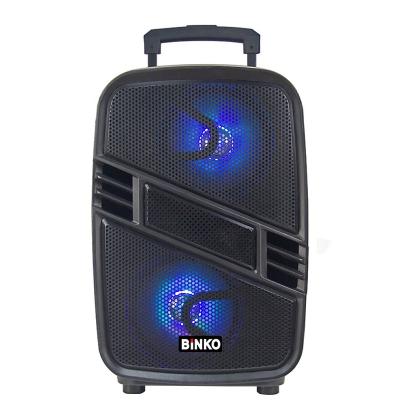 China Professional 8 Inch Portable Speaker System Colorful PA Free Sample Light LED Subwoofer With Lights for sale