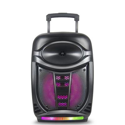 China Colorful LED Light 12 Inch OEM Trolley Audio Speaker Waterproof Speaker For Outdoor Home Party With MIC for sale