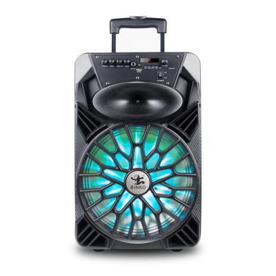 China High Quality Hot Sale Colorful LED Light Portable Speaker With Microphone Trolley Speakers BT 5.0 Radio for sale