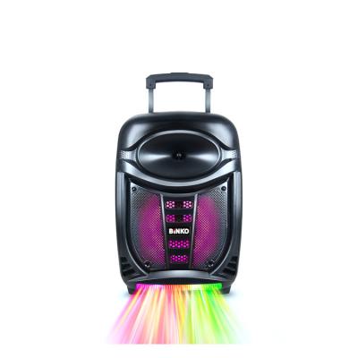 China Cheap Price Stage Colorful Chinese Professional Wireless Speaker Manufacturer Light LED Trolley Portable Speaker for sale