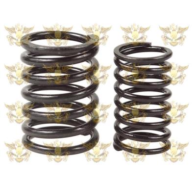 China S195/S1100/S1115/S1125/ZH1125/ZH1115 Machinery Repair Shops Valve Spring for sale