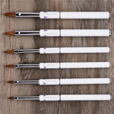 China NAIL Fashion With Lid Cover Kolinsky Oval Acrylic Nail Brush for sale