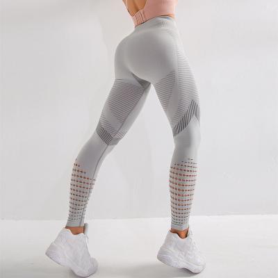 China Breathable Gym Leggings Workout Fashion Seamless High Waisted Butt Lift Crac! crack! plus size sport yoga leggings compression ribbed for woman for sale