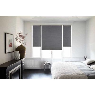 China Anti UV Opaque Pleated Blinds Window Shades Blackout Blackout Good Temporary Roller Blinds for sale