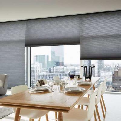 China High Quality Cheap Custom Anti UV Window Shades Outdoor Single Curtain Pleated Blinds for sale