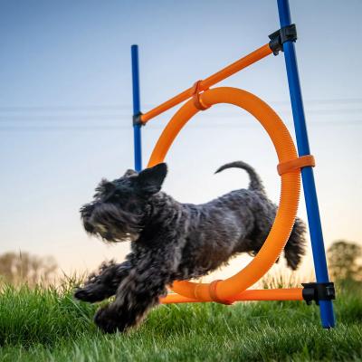 China Pawise Sustainable Dog Outdoor Games Agility Exercise Adjustable Height Exercising Jumping Ring Pet Agility Training Equipment for Dogs for sale