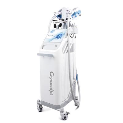 China 360° Cryolipolysis Fat Freezing CoolSculpting Body Slimming Weight Loss Machine for sale