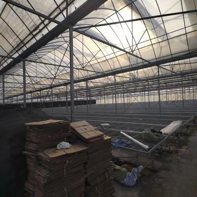 China Stable Structure Easily Assembled Greenhouse Garden Arch Frame Structure Greenhouse Film for sale