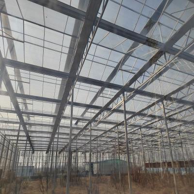 China Stable Structure Easily Assembled Galvanized Steel Frame Large Glass Agricultural Truss Greenhouse for sale