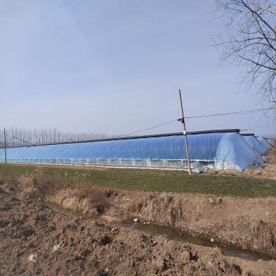 China Stable Structure Easily Assembled Agricultural Cheap Greenhouse Garden Solar Growing Base Solar Greenhouse for sale