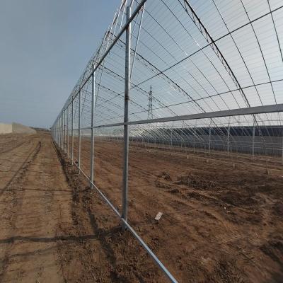 China Stable Structure Easily Assembled Greenhouse Steel Frame Structure Plastic Sheet Agricultural Single Span Hot Selling Greenhouse for sale