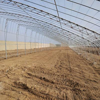 China Stable Structure Easily Assembled High Quality Waterproof Plastic Cloth Film Greenhouse Insulation Agricultural Greenhouse for sale