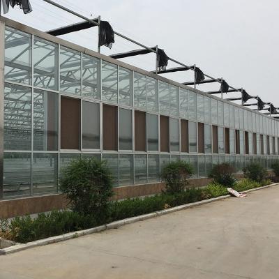 China Stable Structure Easily Assembled Agriculture Glass Multi-span Hydroponics Greenhouse Glass Greenhouse for sale