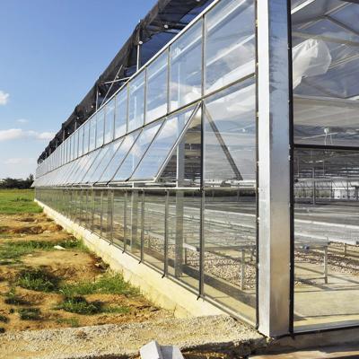 China Stable Structure Easily Assembled Multi-span Cheap Intelligent Glass Greenhouse Hydroponic Agriculture Greenhouse for sale