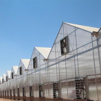 China Stable Structure Easily Assembled Agricultural Greenhouses Large Size And Multi-span Commercial Glass Greenhouse for sale