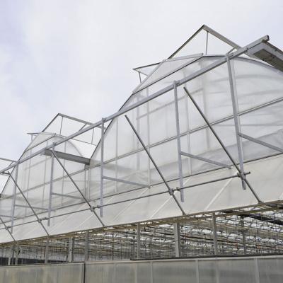 China Stable Structure Easily Assembled Quality Commercial Modern Single-span Glass Greenhouse For Sale for sale