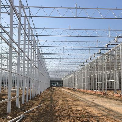 China Stable Structure Easily Assembled Agricultural Multi Span Glass Greenhouse As A Flower Greenhouse For Sale for sale