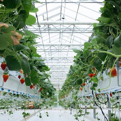 China Stable Structure Easily Assembled Cheap Glass Greenhouse Multi-span Tempered Glass Greenhouse For Agriculture for sale