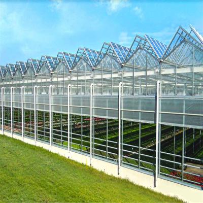 China Stable structure easily assembled factory direct sales multispan glass greenhouse for vegetables for sale