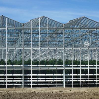 China Stable Structure Easily Assembled Cheap Glass Greenhouse Multi-span Tempered Glass Greenhouse For Agriculture for sale