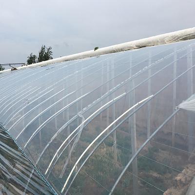 China Stable Structure Easily Assembled Single Span Protection Home PE Film Greenhouse Agriculture UV Greenhouse Film for sale