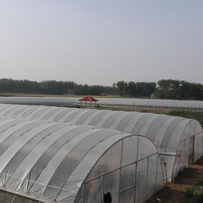 China Stable Structure Easily Assembled Commercial Polycarbonate Plastic Sheet Greenhouse Galvanized Steel Frame Greenhouse Film for sale