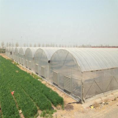 China Stable structure easily assembled Multi-span and single span poly house film greenhouse agriculture greenhouse for sale