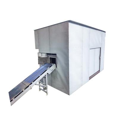 China Smokeless Hospital Medical Waste Incinerator Eco - Friendly for sale