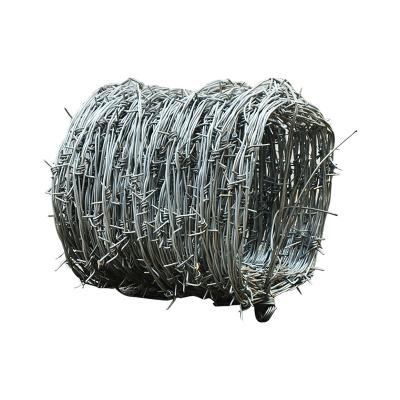 China Big Protection Low Price Accordion Hot Dipped Galvanized Barbed Wire for sale