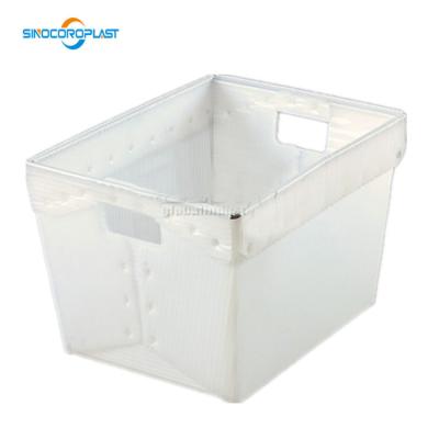 China Advertising PP Cardboard Plate Cover Sheet Recycle Corrugated Bins for sale