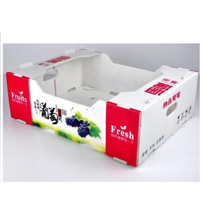 China Waterproof OEM Printing Grape Packaging Box PP Corrugated Plastic Cartonplast for sale