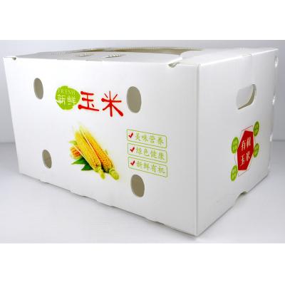 China Eco - Friendly Waterproof White Plastic Corn Packaging Box Food Grade for sale