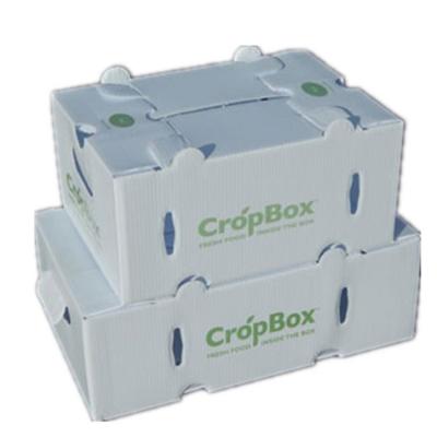 China Waterproof Grooved Board Brushel Corflute Packaging Boxes for sale