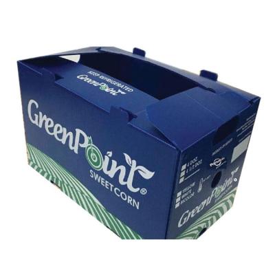 China Waterproof Plastic Broccoli Packaging Box Corrugated Plastic Hollow Box for sale