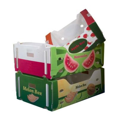 China Corflute Waterproof Veggie and Fresh Fruit Shipping Box for sale