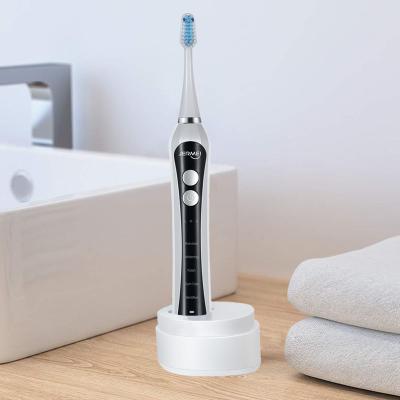 China Battery Operated Adult Electric Toothbrush With Brush Holder Head Teeth Brush 2020 Electric for sale