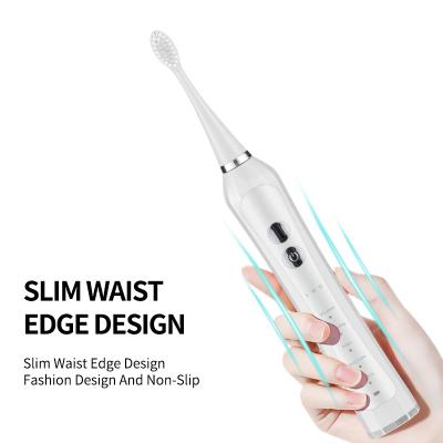 China Battery Operated Toothbrush With Packing Wholesale CE ROHS Certificate Rechargeable Electric Toothbrush IPX7 Waterproof for sale