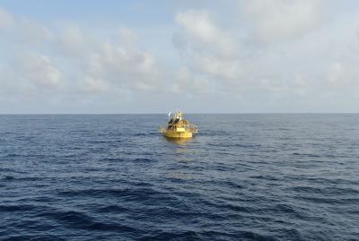 Cina Mammiferi marini Cina Boie di monitoraggio Osservazione della qualità dell'acqua in vendita