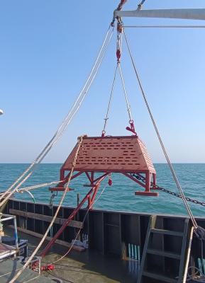 China Boyas hidrológicas al aire libre en venta