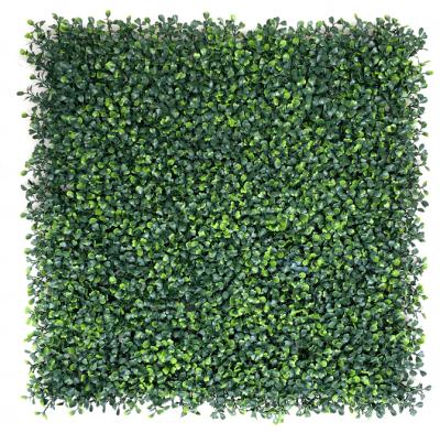 China Decorative Artificial Verde de parede de plastico de Mat Fence Hedge Boxwood Country Hedge Plastic Panel Wholesale for sale