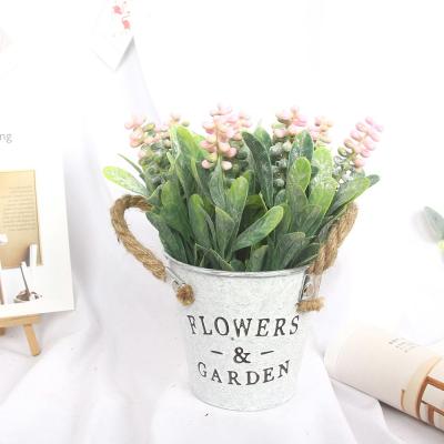 China Orna Potted American Plastic Succulents Living Room Decoration Set Artificial Flower Artificial Flower Potted Iron Bucket Iron Fruit for sale