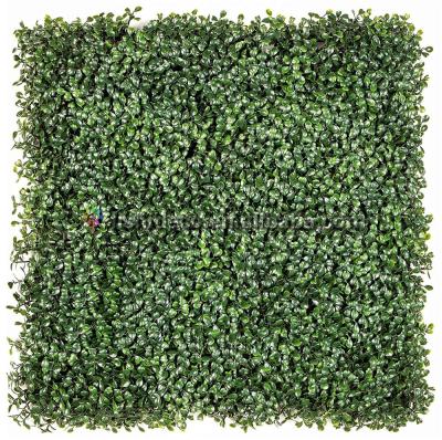 China Gardening Lay Out Ourdoor Or Indoor Use Boxwood Hedge / Hedge / Fence Artificial Grass Fence for sale